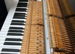 メゾフォルテピアノ教室 ピアノの調律